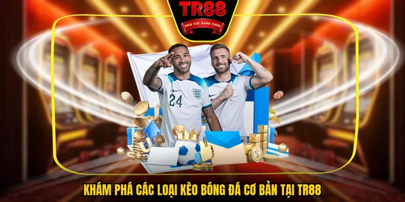 Khám phá các loại kèo bóng đá cơ bản tại TR88