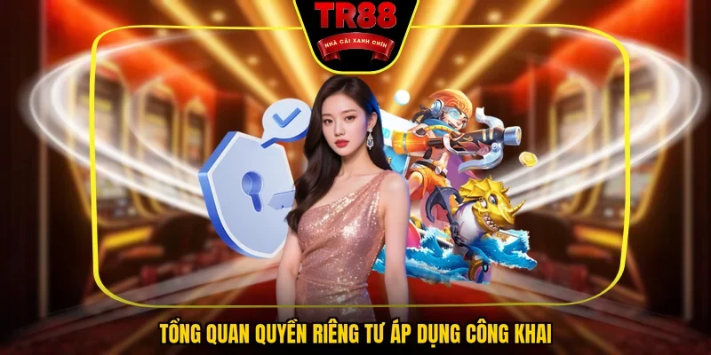 Tổng quan quyền riêng tư áp dụng công khai 